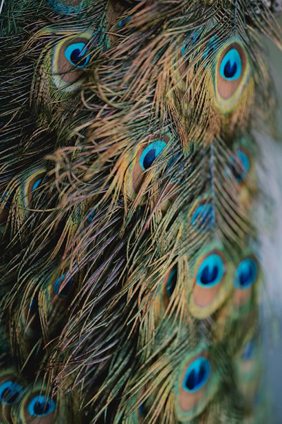 Wedding Planner Lake Como