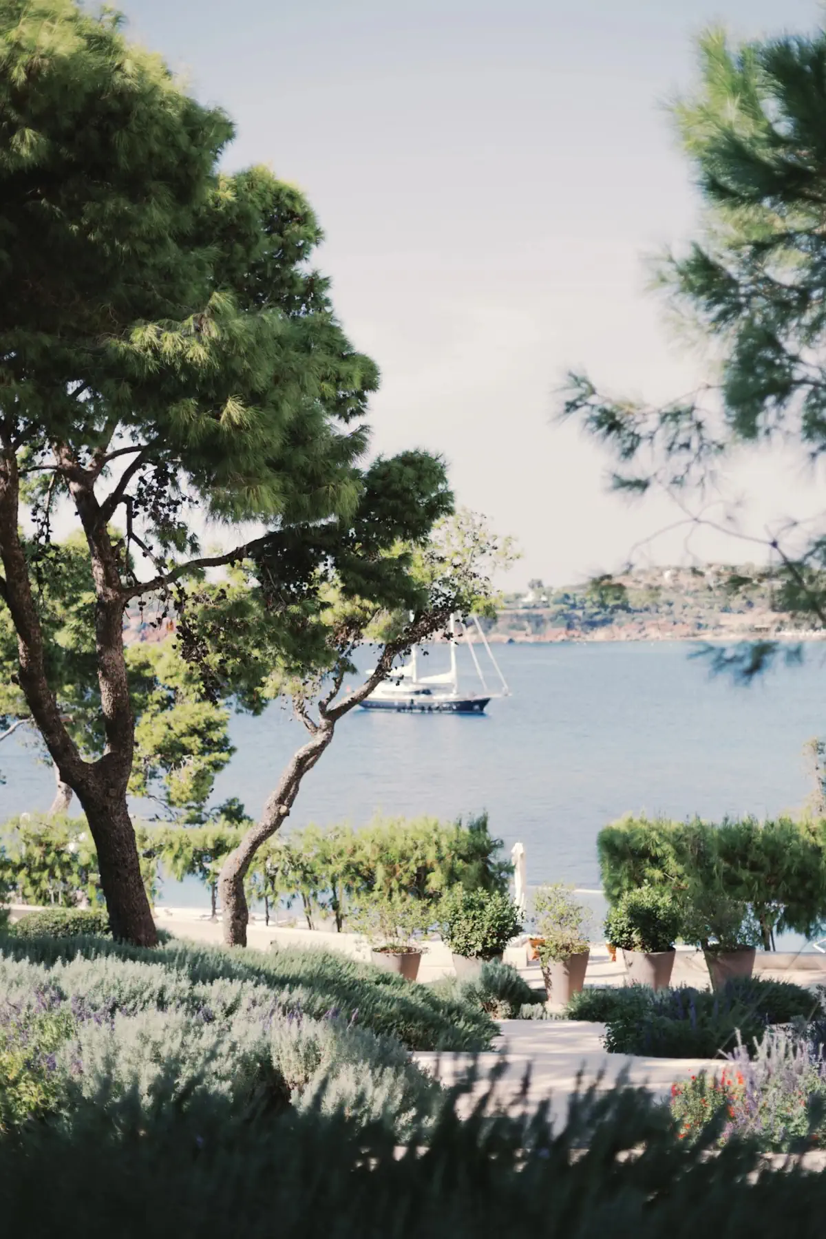 Wedding Planner Athens Greece