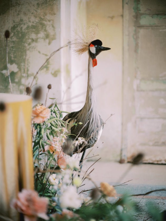 Wedding Planner Lake Como Italy